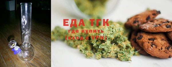 СК Ельня