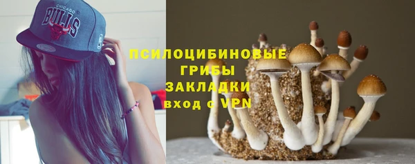 скорость mdpv Елизово