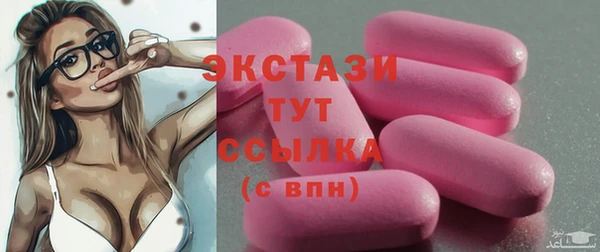 СК Ельня