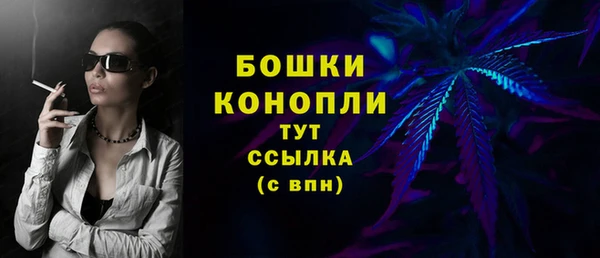 стаф Дмитриев
