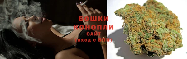 молекула духа Дмитровск