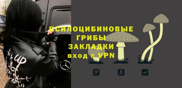 молекула духа Дмитровск