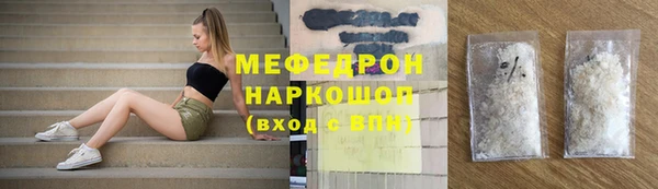 СК Ельня