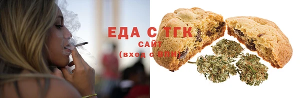 СК Ельня