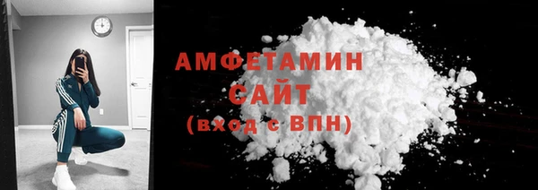 СК Ельня