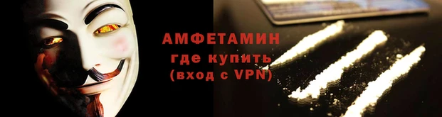 стаф Дмитриев