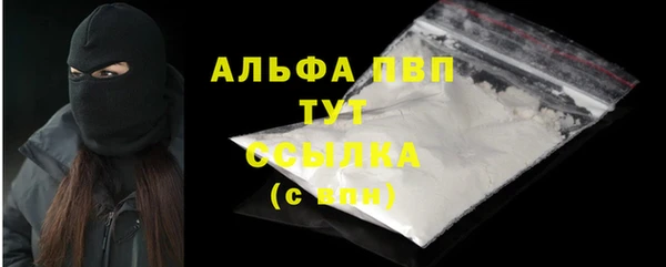 стаф Дмитриев