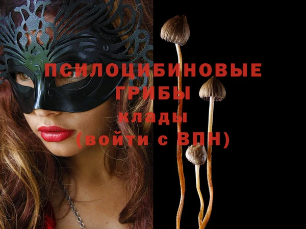 СК Ельня