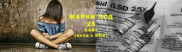 СК Ельня