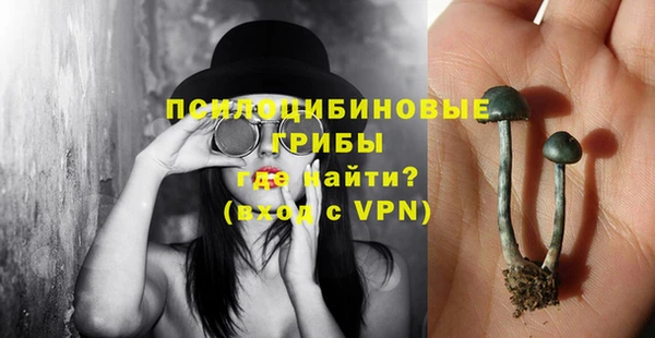 скорость mdpv Елизово