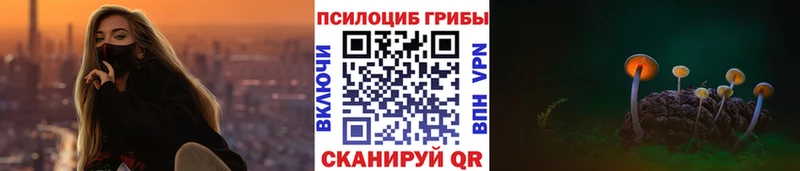 даркнет какой сайт  Ершов  Галлюциногенные грибы GOLDEN TEACHER 